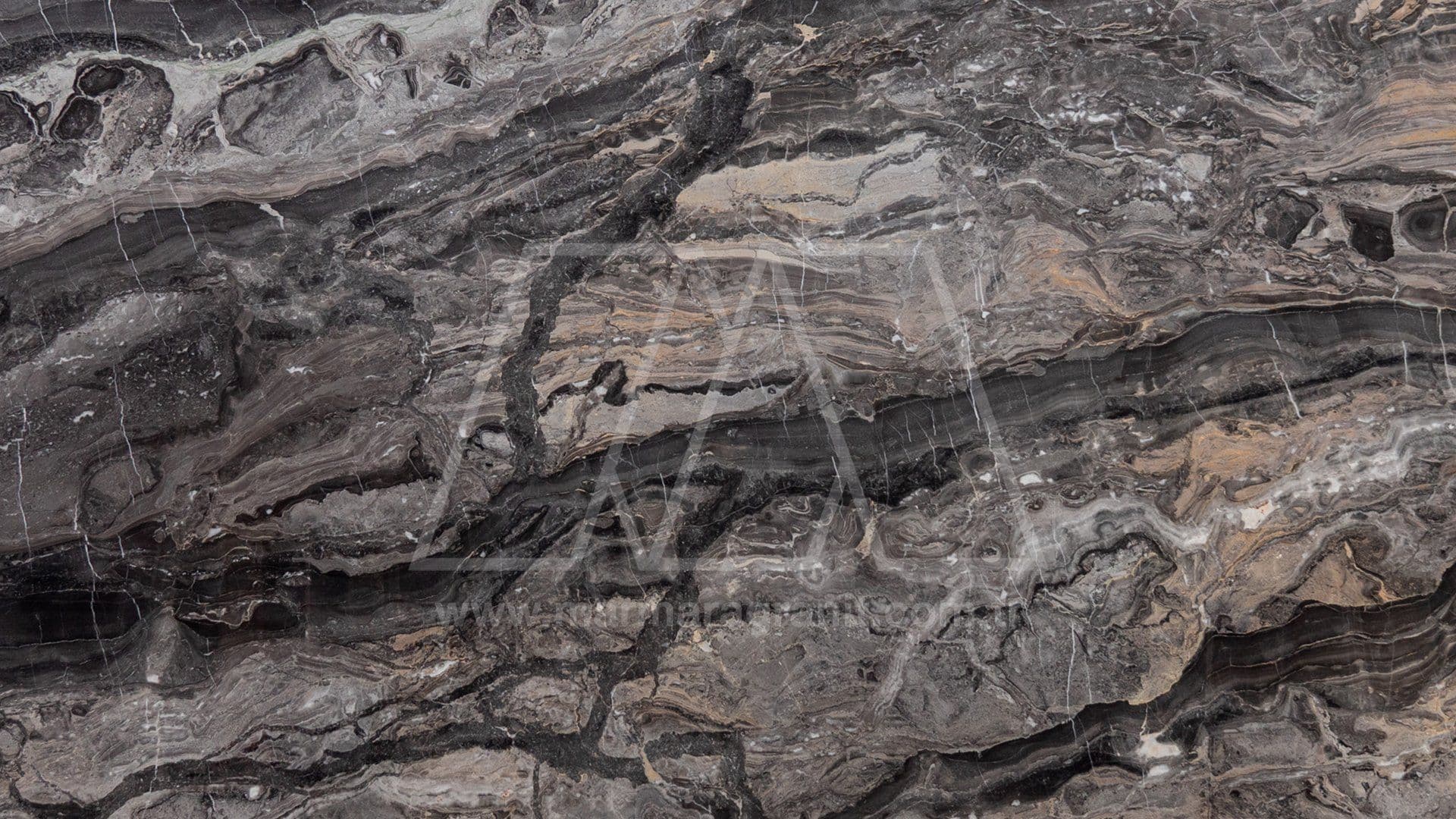 Arabescato Grigio Extra