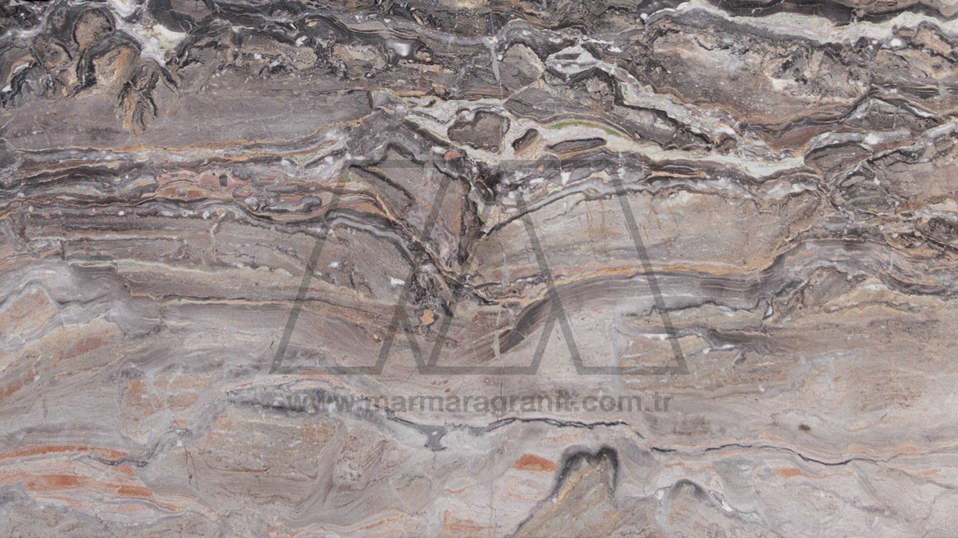 Arabescato Grigio Light